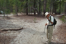 Junction of the Mammoth Crest use trail and the maintained trail over Mammoth Pass