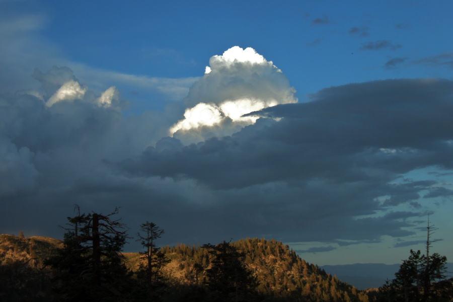 Not-quite-a-thunderhead at sunset