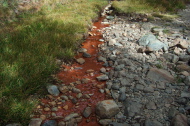 Iron oxide seep near Dana Fork of Tuolumne River