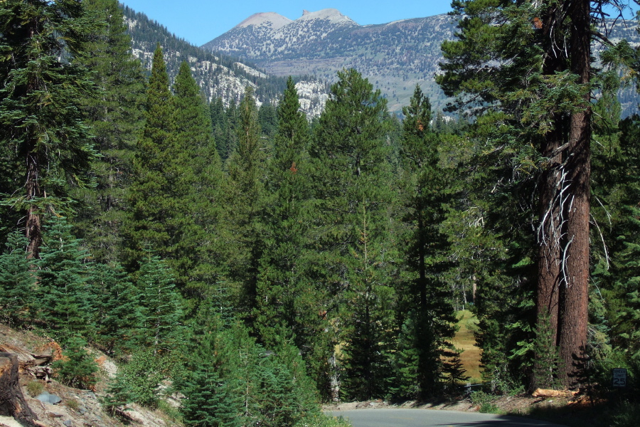 San Joaquin Mountain and the Two Teats far above the road