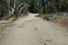 Then some rocks start to appear in the road.