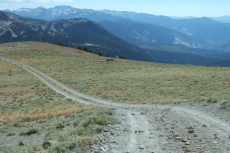 View down the road