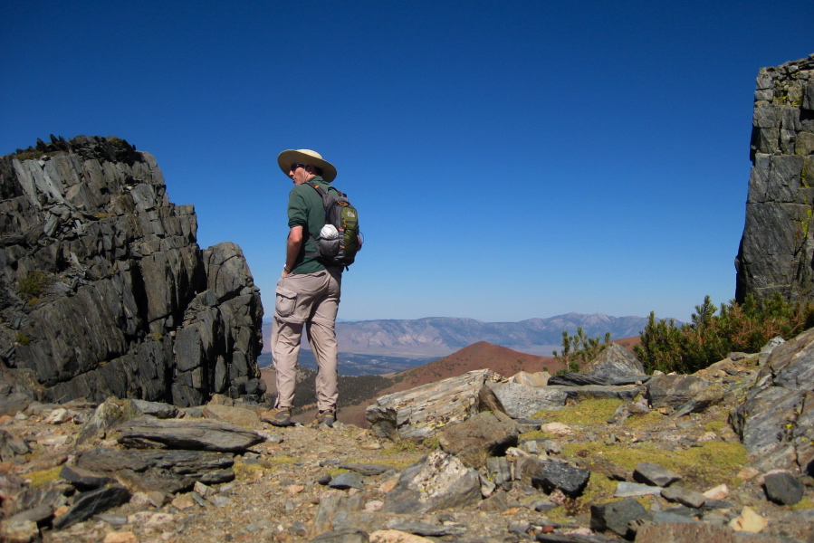 Bill at the edge of the crest.