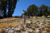 Bill marches off into the wilderness across the Mammoth Crest.