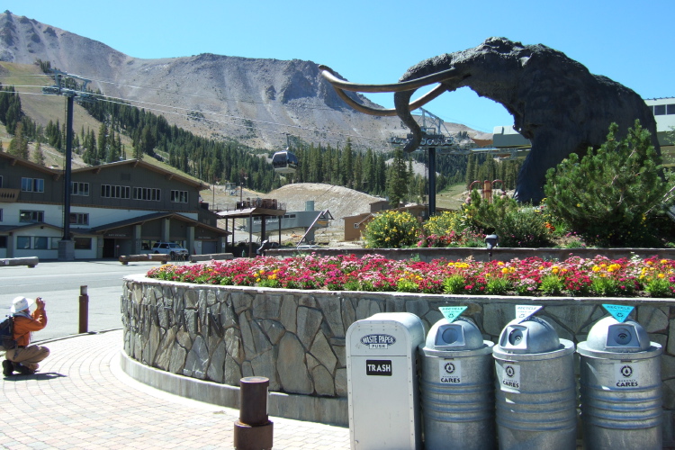 Frank photographs The Mammoth.