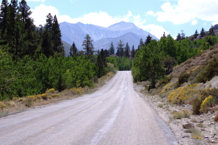 Rock Creek Rd. climbs toward Mt. Morgan (13748ft)