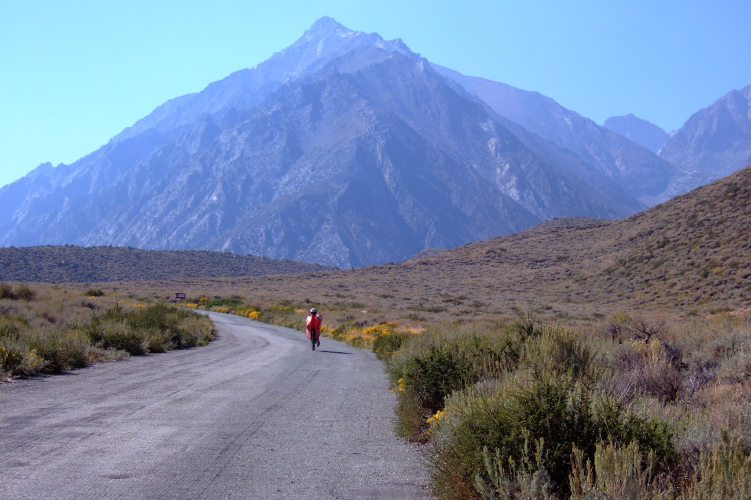 Ron Bobb climbs McGee Creek Rd.