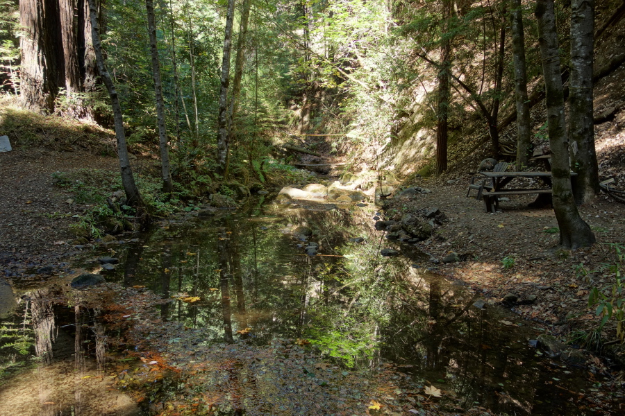 Reflection in Kings Creek