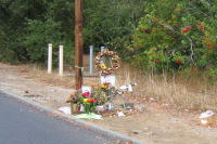 Roadside Memorial detail