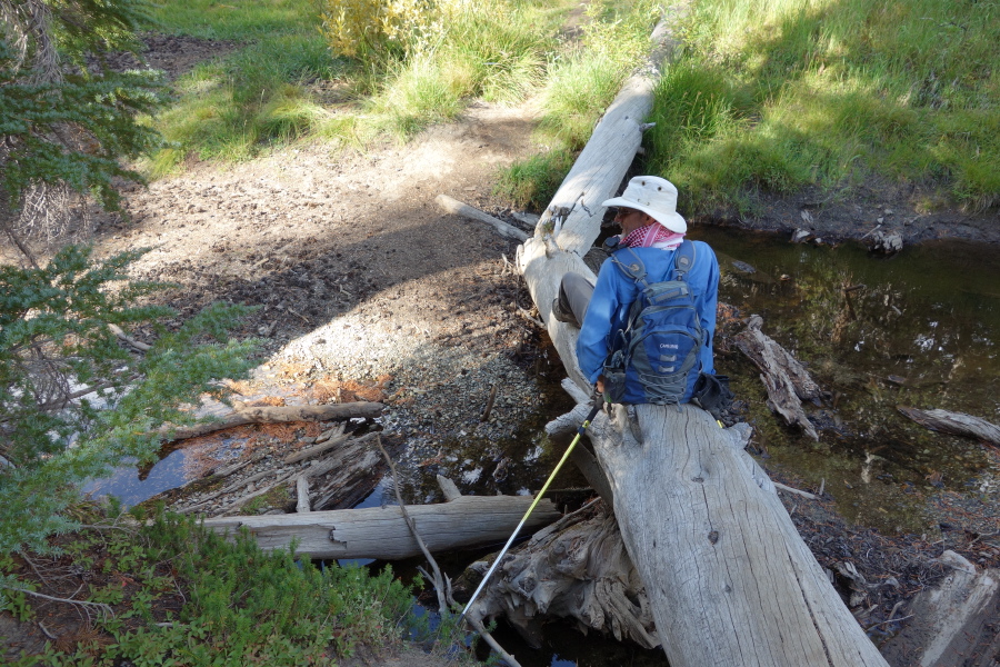 Crossing a one-log bridge