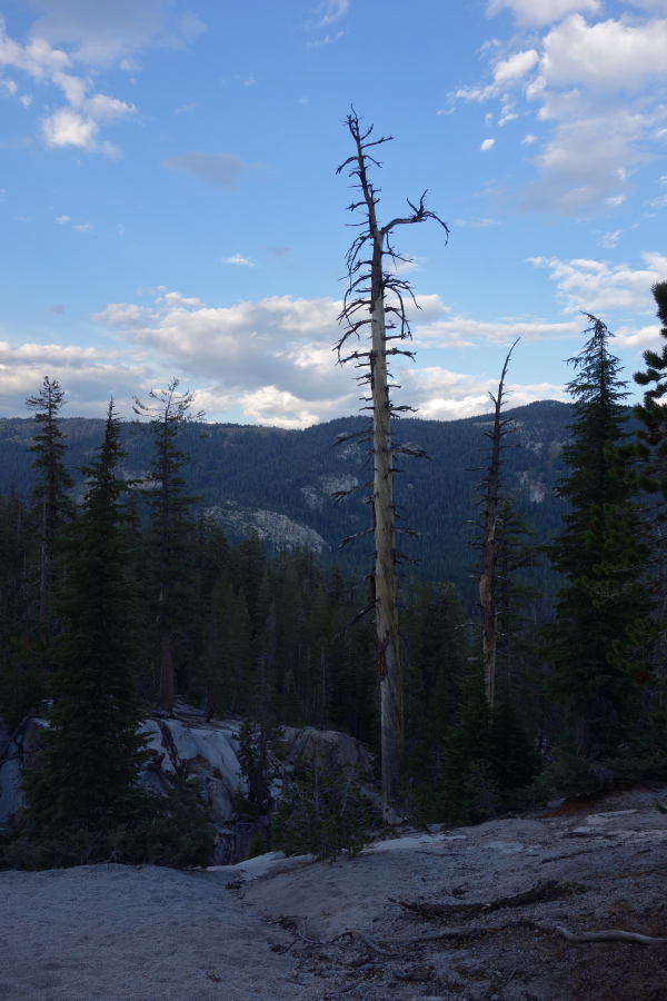 An old snag stands above Minaret Falls.