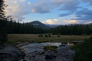 Evening light on the meadow near Devils Postpile