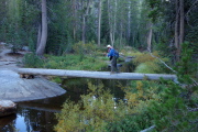 Frank at mid-span on another two-log bridge