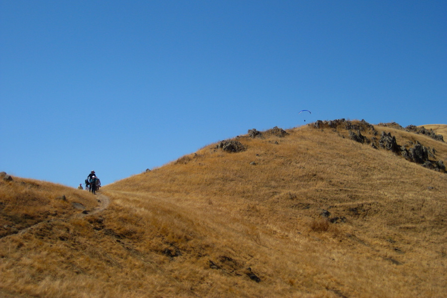 Stella stops on the trail to look back and sees a giant bearing down on her.