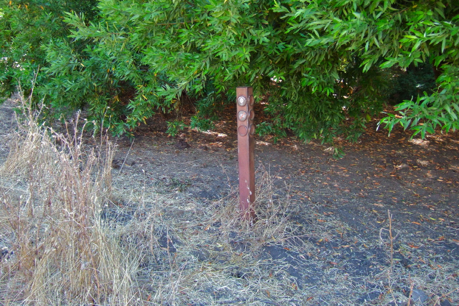 EBPRD marker hidden in the weeds marks the junction of the Laurel Glen and Laurel Canyon Trails.