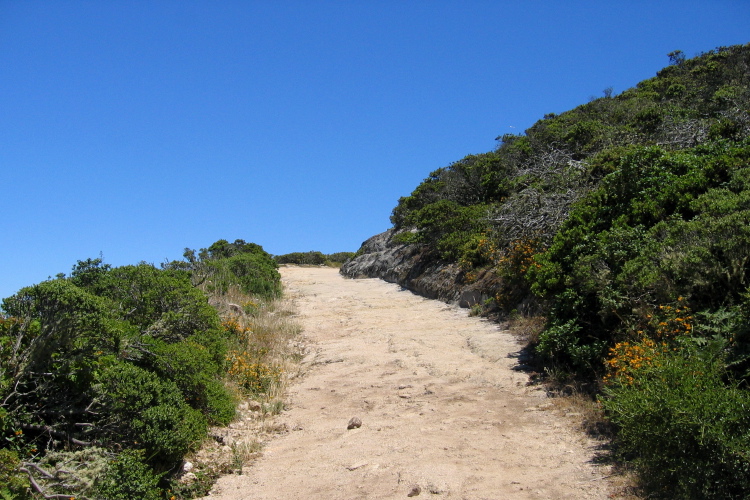 Climbing out of the fog on Montara Mtn. Rd. (1400ft)