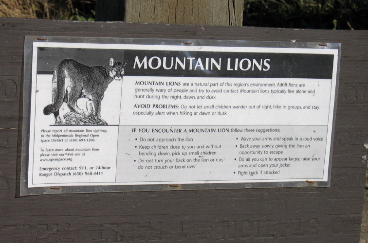 Mountain Lion warning!