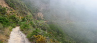 San Pedro Mountain Rd. in the fog. (750ft)