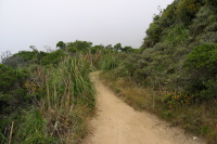 Some parts of San Pedro Mtn. Rd. are unpaved. (730ft)