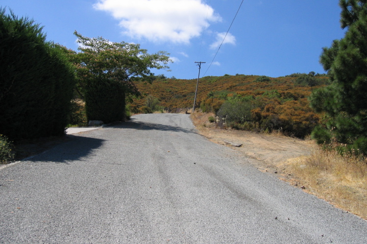 Top of Montevina Rd. (2340ft)