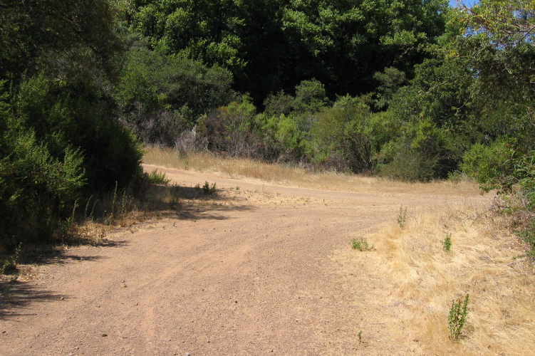 A left turn goes to Bohlman Rd. (2470ft)