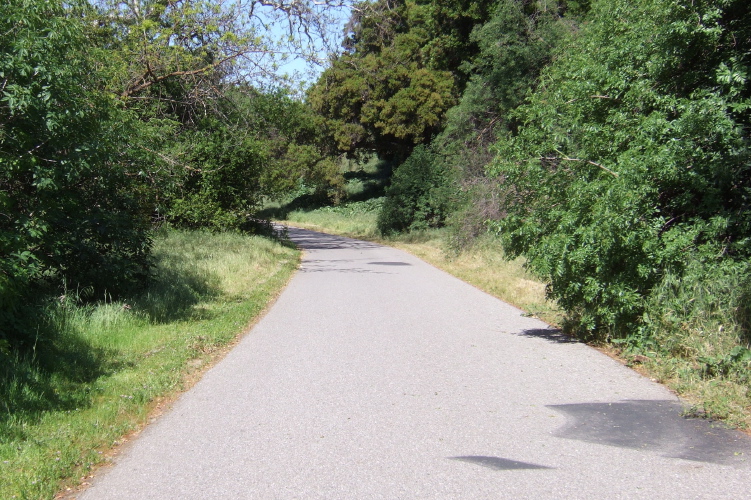 Typical scene aong the Coyote Creek Trail in San Jose.