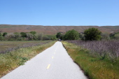 Coyote Creek Trail, looking toward the hills east of Coyote.