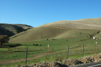 Morgan Territory Rd. climbs up grass-covered hills.