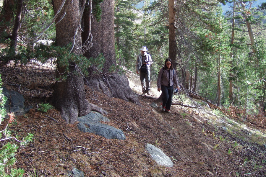 Stella and Frank follow the faint use trail between Saddlebag Lake and Hall Valley.