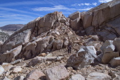 Stella turns to face the penultimate climb to the south ridge of Mt. Conness.