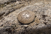 Mt. Conness benchmark monument