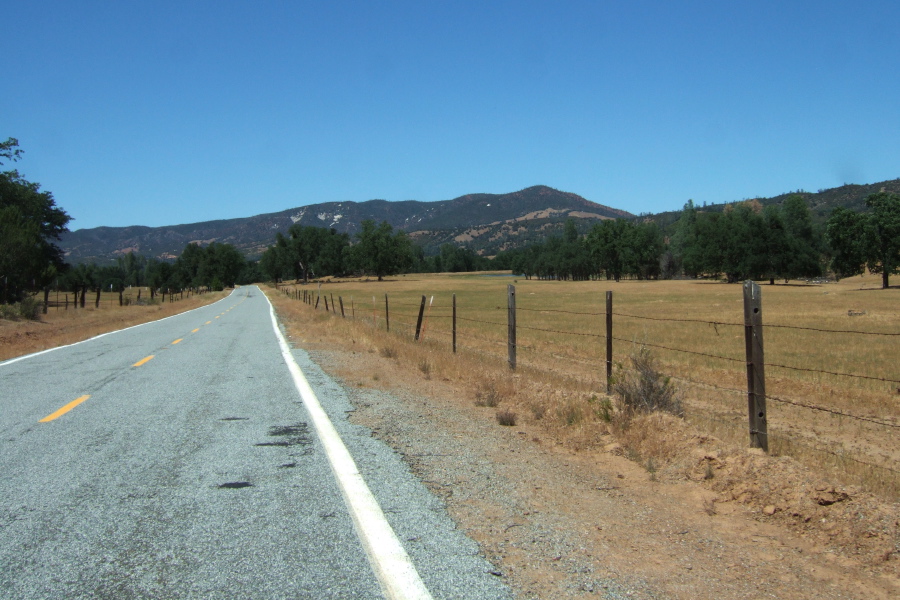 No flowers in San Antonio Valley this year