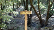 Sign for Rifle Camp