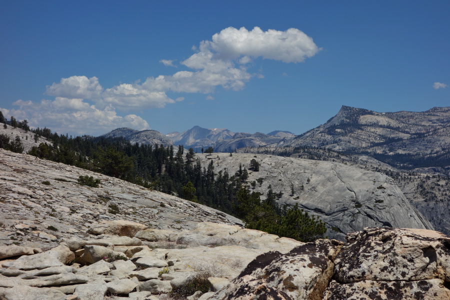 Mount Conness (center) from Mount Watkins