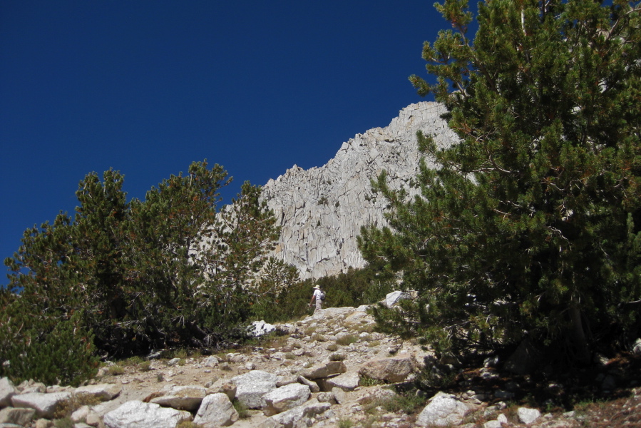 Bill marches up the trail to Mono Pass.