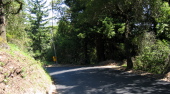 Climbing Redwood Gulch Rd., looking downhill (1460ft)