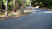 Steep curve on Altamont Rd., Los Altos Hills (560ft)