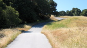 Montebello Rd. just uphill from the Page Mill gate, looking uphill (2220ft)