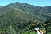 View back up Bald Ridge to Mt. Diablo (3849ft) from Eagle Peak (2369ft)