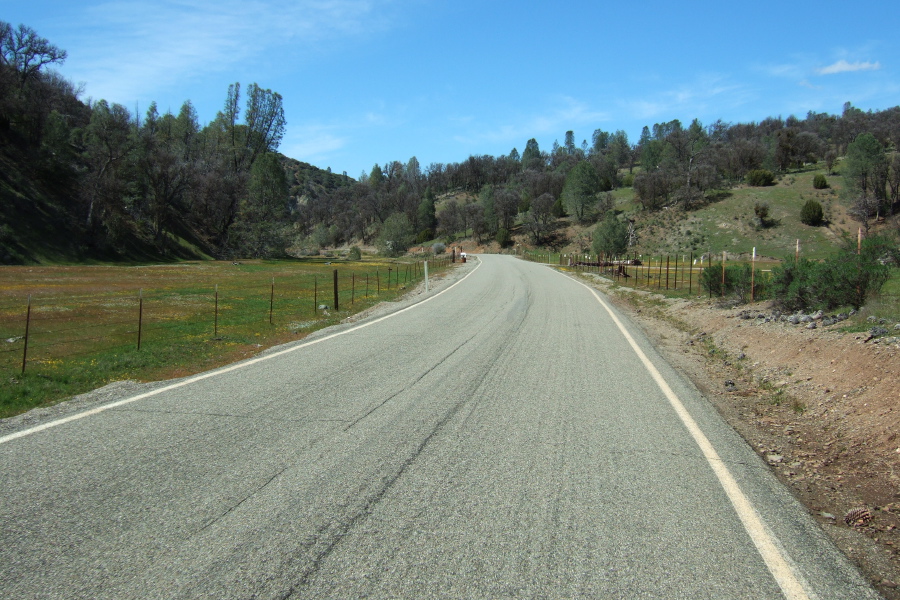 Occasional splashes of wildflower color on Mines Road