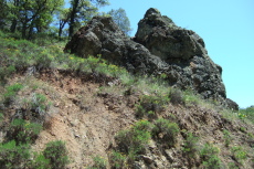 One of many volcanic rock outcroppings along Mines Road.