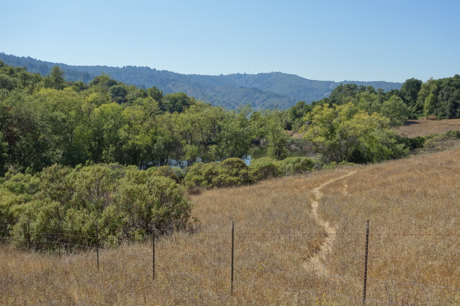 An enticing lake lies a short distance beyond a barbed-wire fence.