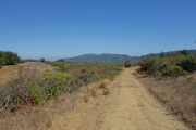 View of the southern end of the Santa Cruz Mountains from Old Mine Trail and Merry Go Round Trail