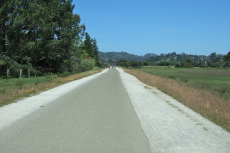On the Mill Valley Bike Path