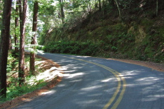 A shady section of Bolinas-Fairfax Road near Alpine Lake