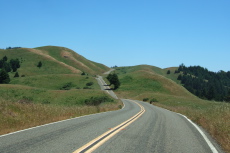 Ridgecrest rolls over hills that are still mostly green as it climbs up the long northwestern shoulder of Mt. Tamalpais
