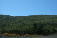 Manzanita Ranch below McQueen Ridge