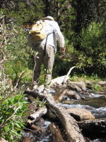 David re-crossing Lee Vining Creek (9700ft)
