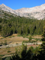 View up the valley to the Sierra crest (9720ft)