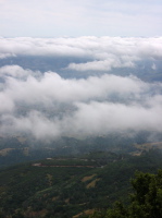 Mt. Diablo Summit Rd. descending into the clouds.